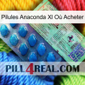 Pilules Anaconda Xl Où Acheter new02